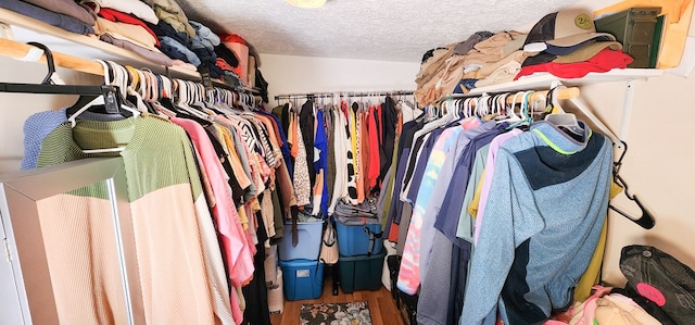 walk in closet with wood-type flooring