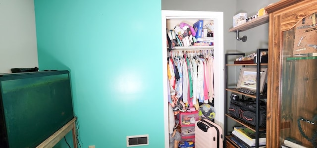 view of closet