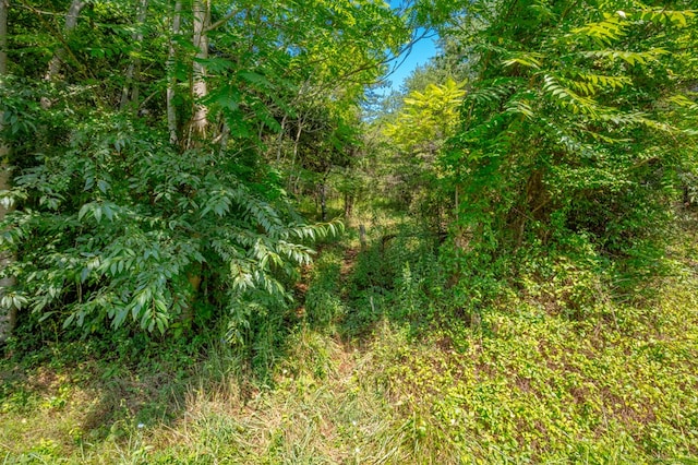 LOT22 Lone Ash Rd Unit 22, Barren Springs, VA 24313 - photo 5