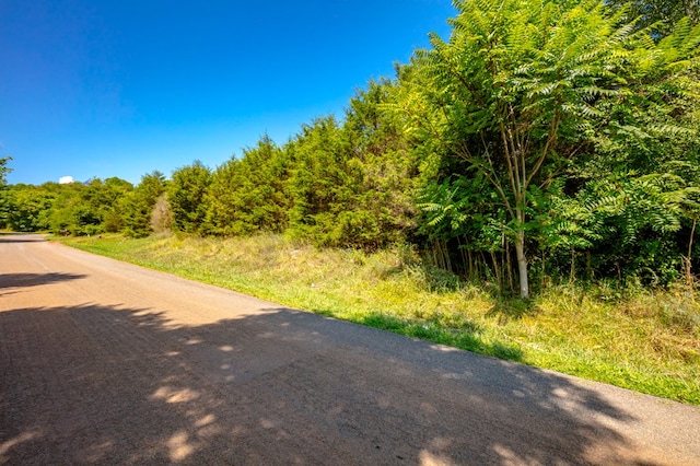 LOT22 Lone Ash Rd Unit 22, Barren Springs, VA 24313 - photo 7
