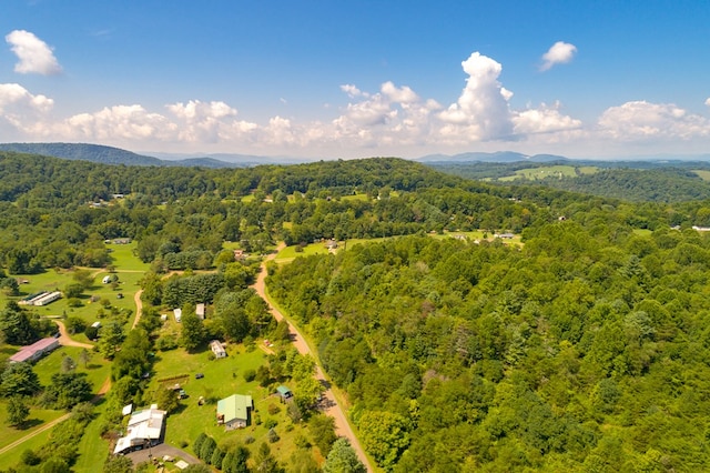 LOT22 Lone Ash Rd Unit 22, Barren Springs, VA 24313 - photo 28