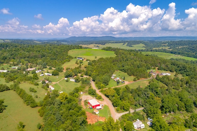 LOT22 Lone Ash Rd Unit 22, Barren Springs, VA 24313 - photo 15