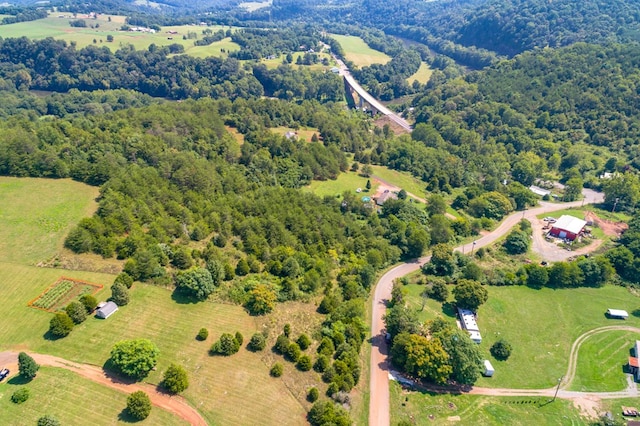 LOT22 Lone Ash Rd Unit 22, Barren Springs, VA 24313 - photo 21