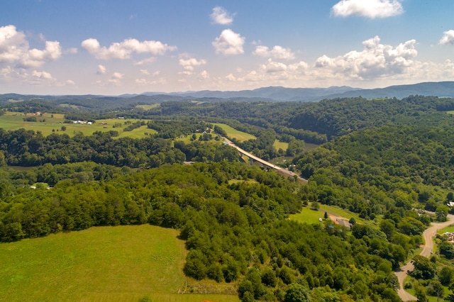 LOT22 Lone Ash Rd Unit 22, Barren Springs, VA 24313 - photo 20