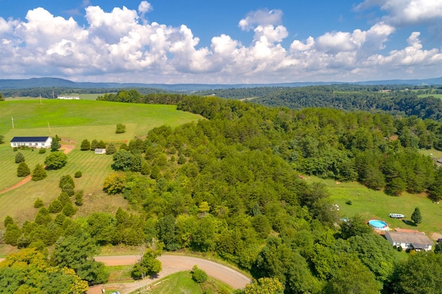 LOT22 Lone Ash Rd Unit 22, Barren Springs, VA 24313 - photo 12