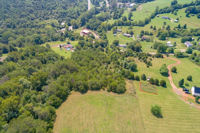 LOT22 Lone Ash Rd Unit 22, Barren Springs, VA 24313 - photo 17