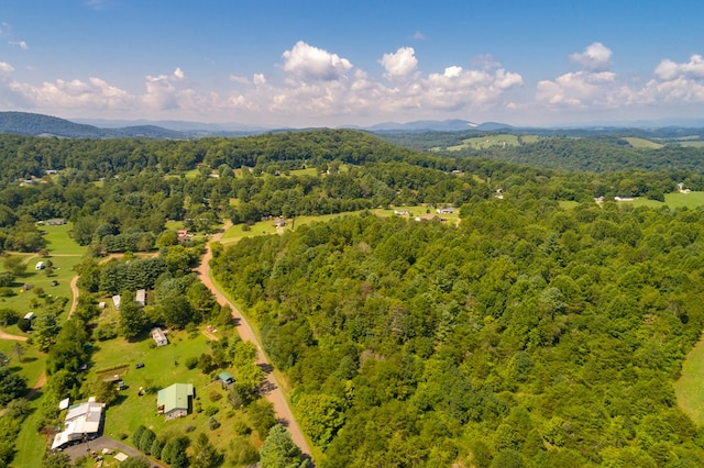 LOT22 Lone Ash Rd Unit 22, Barren Springs, VA 24313 - photo 23