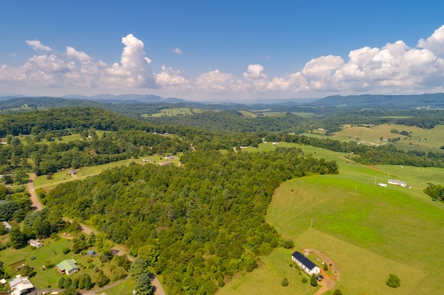 LOT22 Lone Ash Rd Unit 22, Barren Springs, VA 24313 - photo 27