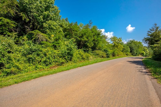 LOT22 Lone Ash Rd Unit 22, Barren Springs, VA 24313 - photo 2