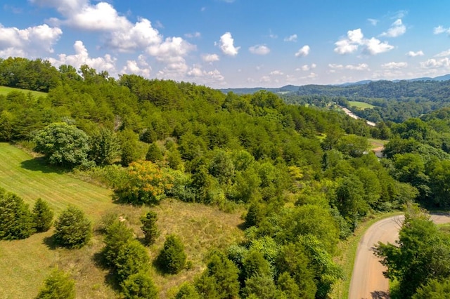 LOT22 Lone Ash Rd Unit 22, Barren Springs, VA 24313 - photo 1