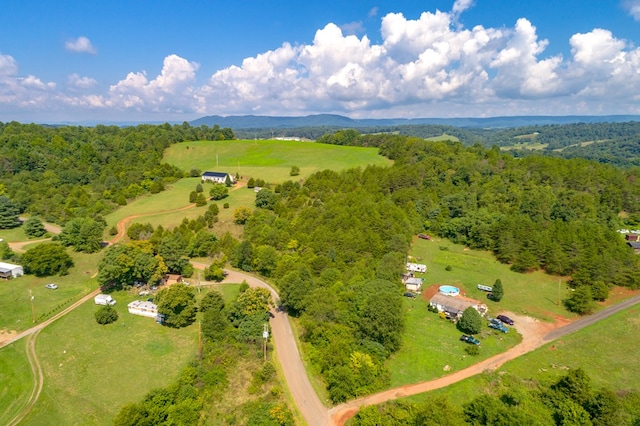 LOT22 Lone Ash Rd Unit 22, Barren Springs, VA 24313 - photo 13