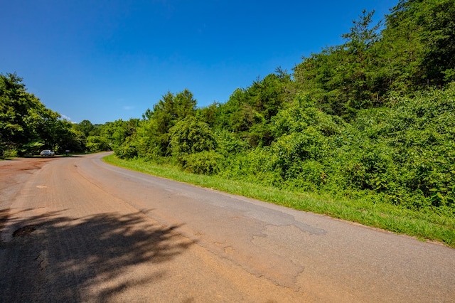 LOT22 Lone Ash Rd Unit 22, Barren Springs, VA 24313 - photo 3