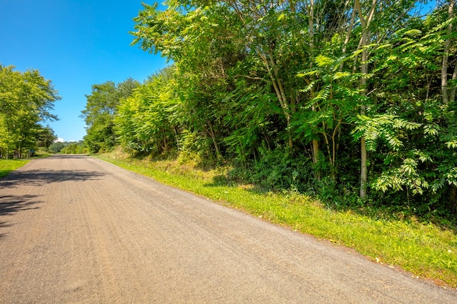 LOT22 Lone Ash Rd Unit 22, Barren Springs, VA 24313 - photo 4