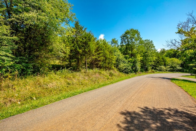 LOT22 Lone Ash Rd Unit 22, Barren Springs, VA 24313 - photo 8