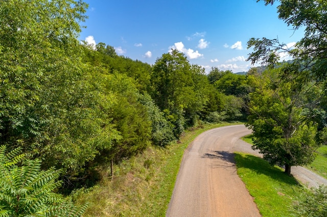 LOT22 Lone Ash Rd Unit 22, Barren Springs, VA 24313 - photo 9