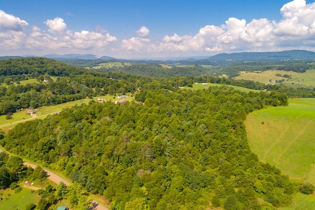 LOT22 Lone Ash Rd Unit 22, Barren Springs, VA 24313 - photo 22
