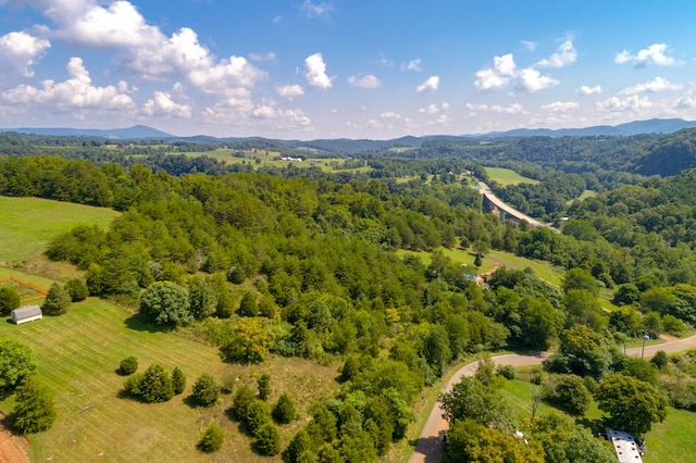 LOT22 Lone Ash Rd Unit 22, Barren Springs, VA 24313 - photo 11
