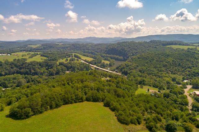 LOT22 Lone Ash Rd Unit 22, Barren Springs, VA 24313 - photo 19