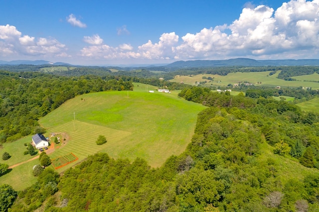 LOT22 Lone Ash Rd Unit 22, Barren Springs, VA 24313 - photo 16