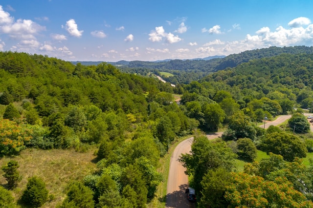 LOT22 Lone Ash Rd Unit 22, Barren Springs, VA 24313 - photo 10