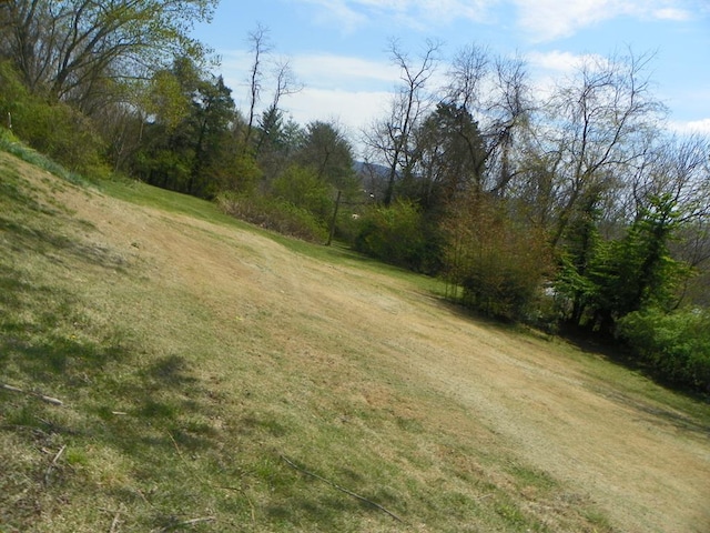 179 Sipe Ln, Ivanhoe, VA 24350 - photo 39