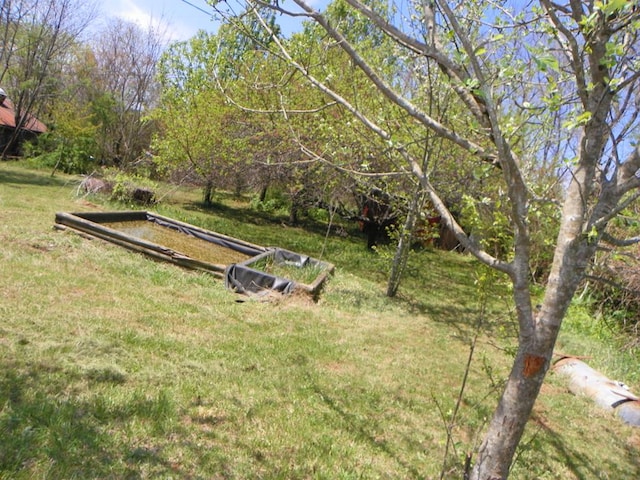 179 Sipe Ln, Ivanhoe, VA 24350 - photo 37