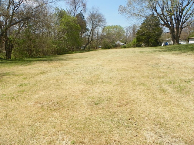 179 Sipe Ln, Ivanhoe, VA 24350 - photo 42