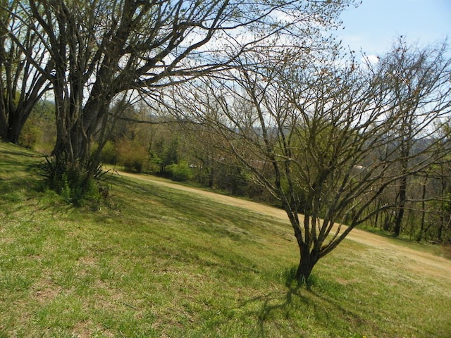 179 Sipe Ln, Ivanhoe, VA 24350 - photo 43