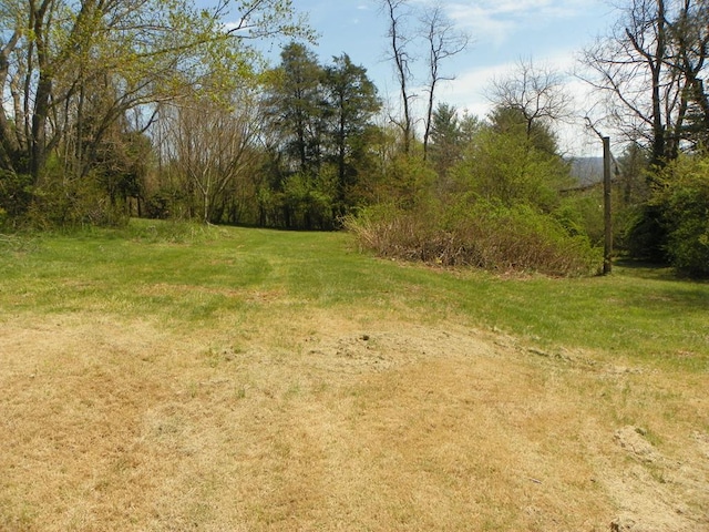 179 Sipe Ln, Ivanhoe, VA 24350 - photo 41