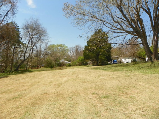179 Sipe Ln, Ivanhoe, VA 24350 - photo 40