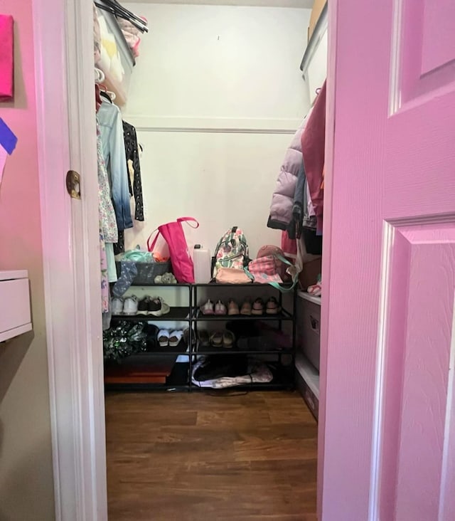 walk in closet featuring wood finished floors