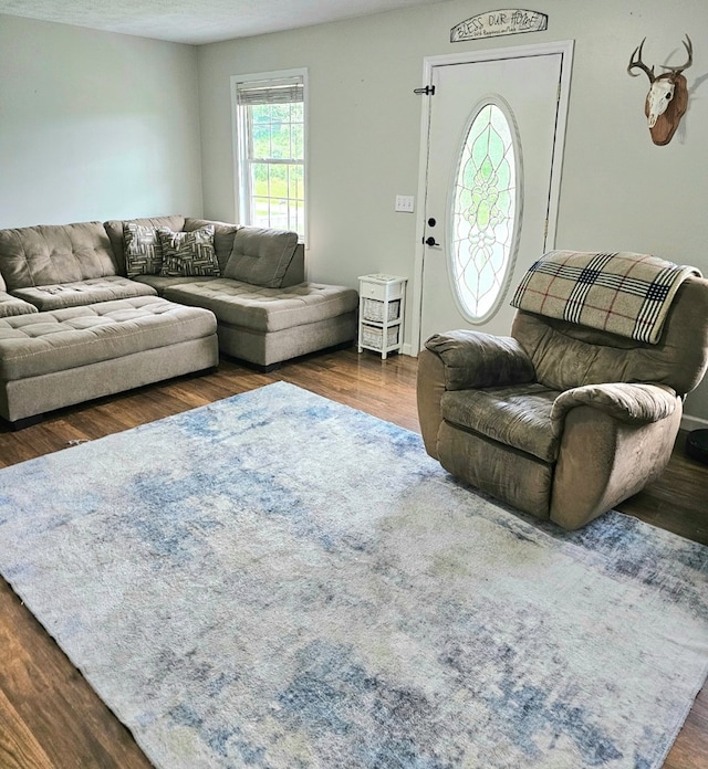living area with dark wood-style floors