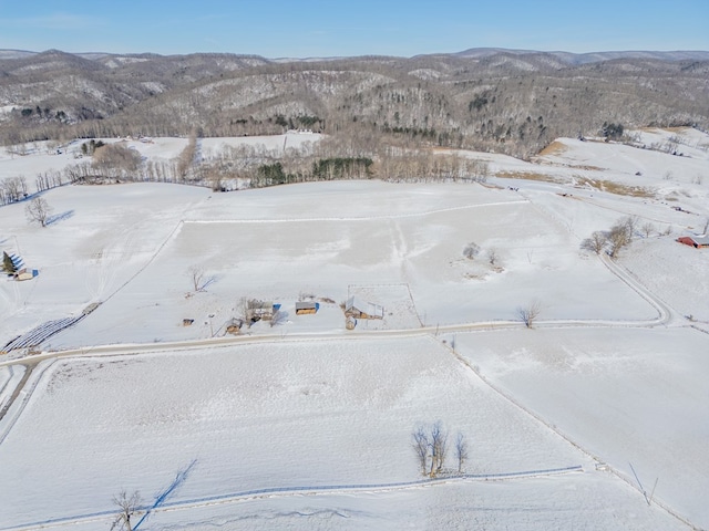 view of mountain feature