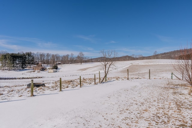 view of yard covered in snow