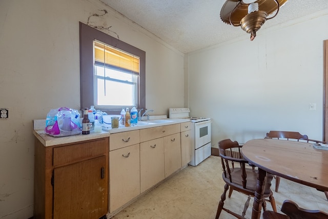 kitchen with white electric stove, crown molding, sink, and a textured ceiling