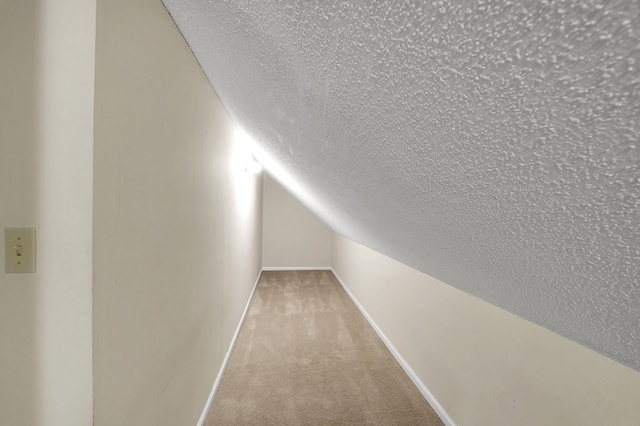 18959 Middle Dr, Abingdon, VA 24211 - additional living space with carpet, a textured ceiling, and lofted ceiling