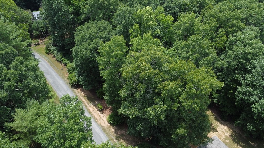 TBD Mid Ridge Ln Unit 6, Independence, VA 24348 - photo 4