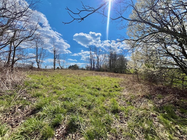 view of local wilderness with a rural view