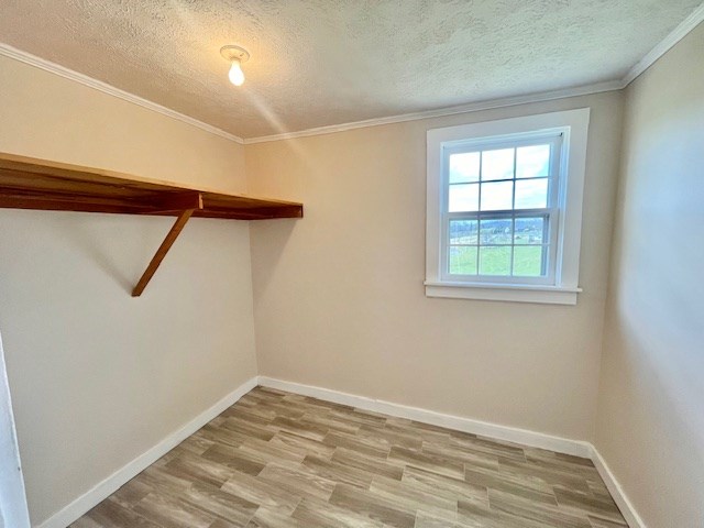 walk in closet featuring hardwood / wood-style flooring