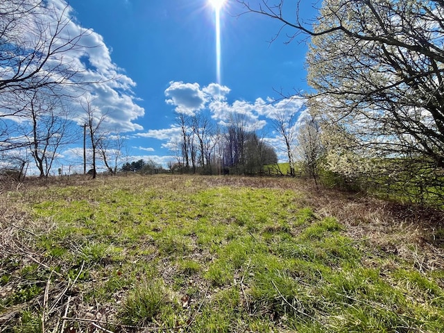 view of nature featuring a rural view