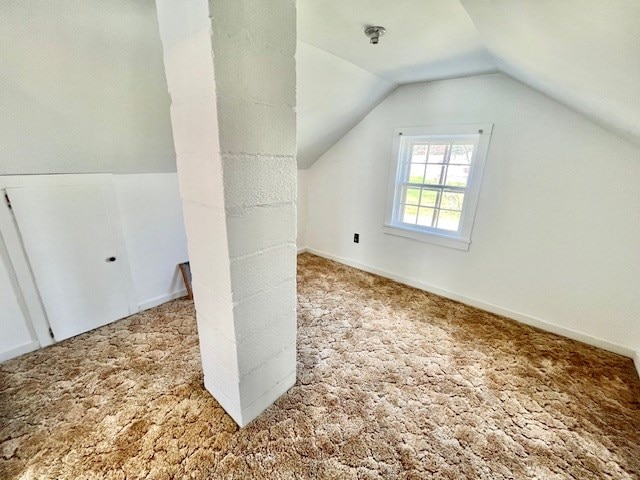 additional living space featuring vaulted ceiling and carpet