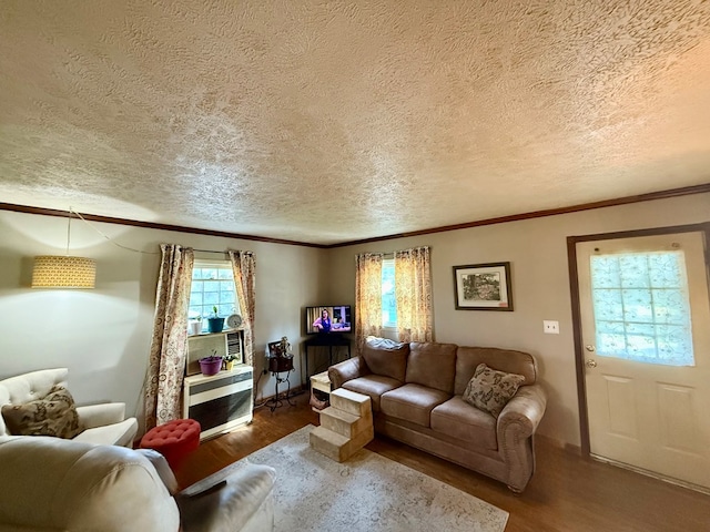 living room with a textured ceiling, wood finished floors, and ornamental molding