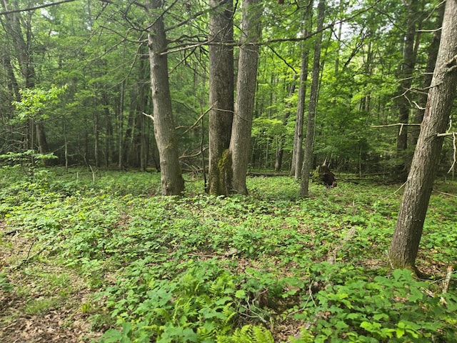 TBD Poor Valley Rd Unit 12, Ceres, VA 24315