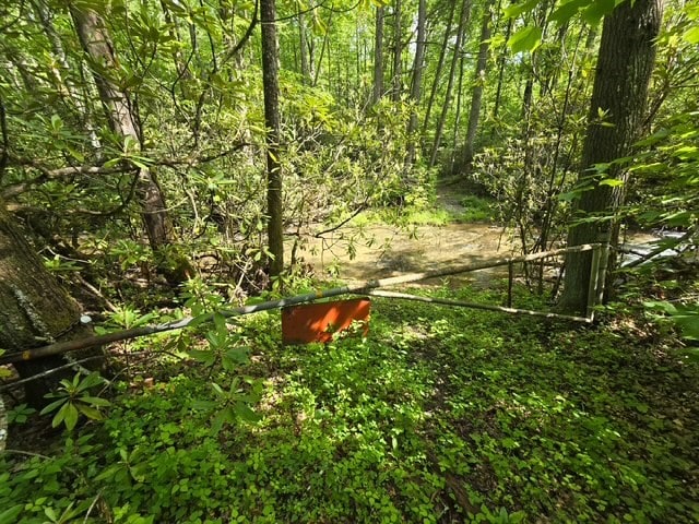TBD Poor Valley Rd Unit 12, Ceres, VA 24315