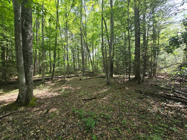 TBD Poor Valley Rd Unit 12, Ceres, VA 24315