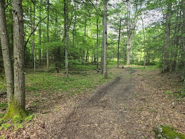 TBD Poor Valley Rd Unit 12, Ceres, VA 24315