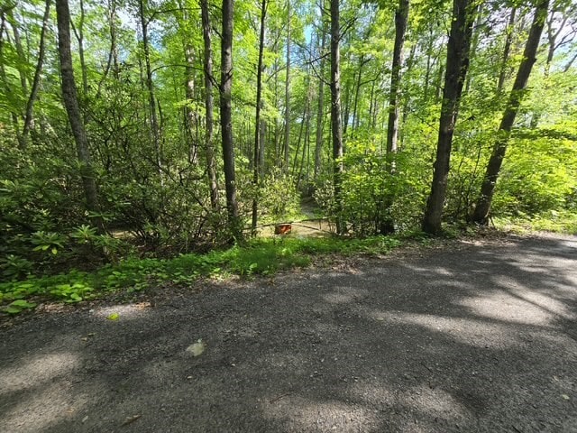 TBD Poor Valley Rd Unit 12, Ceres, VA 24315