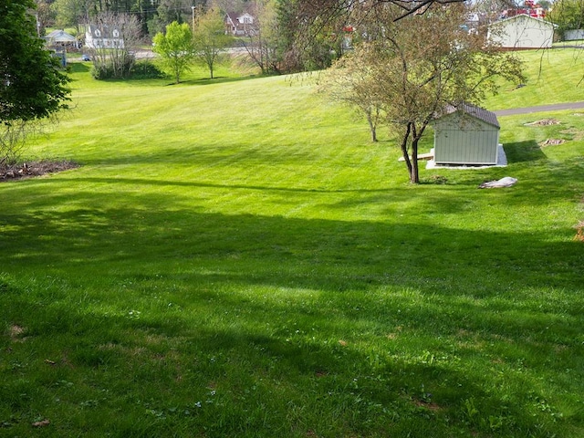 view of yard with an outdoor structure and a shed