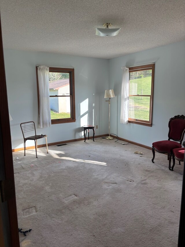 1125 Laurel Creek Ln, Broadford, VA 24316 - photo 24