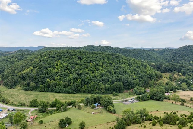 5826 Skylark Ln Unit 00, Saltville VA, 24370 land for sale